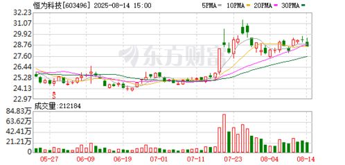 恒為科技布局新賽道，投資成立數(shù)字技術(shù)服務(wù)公司